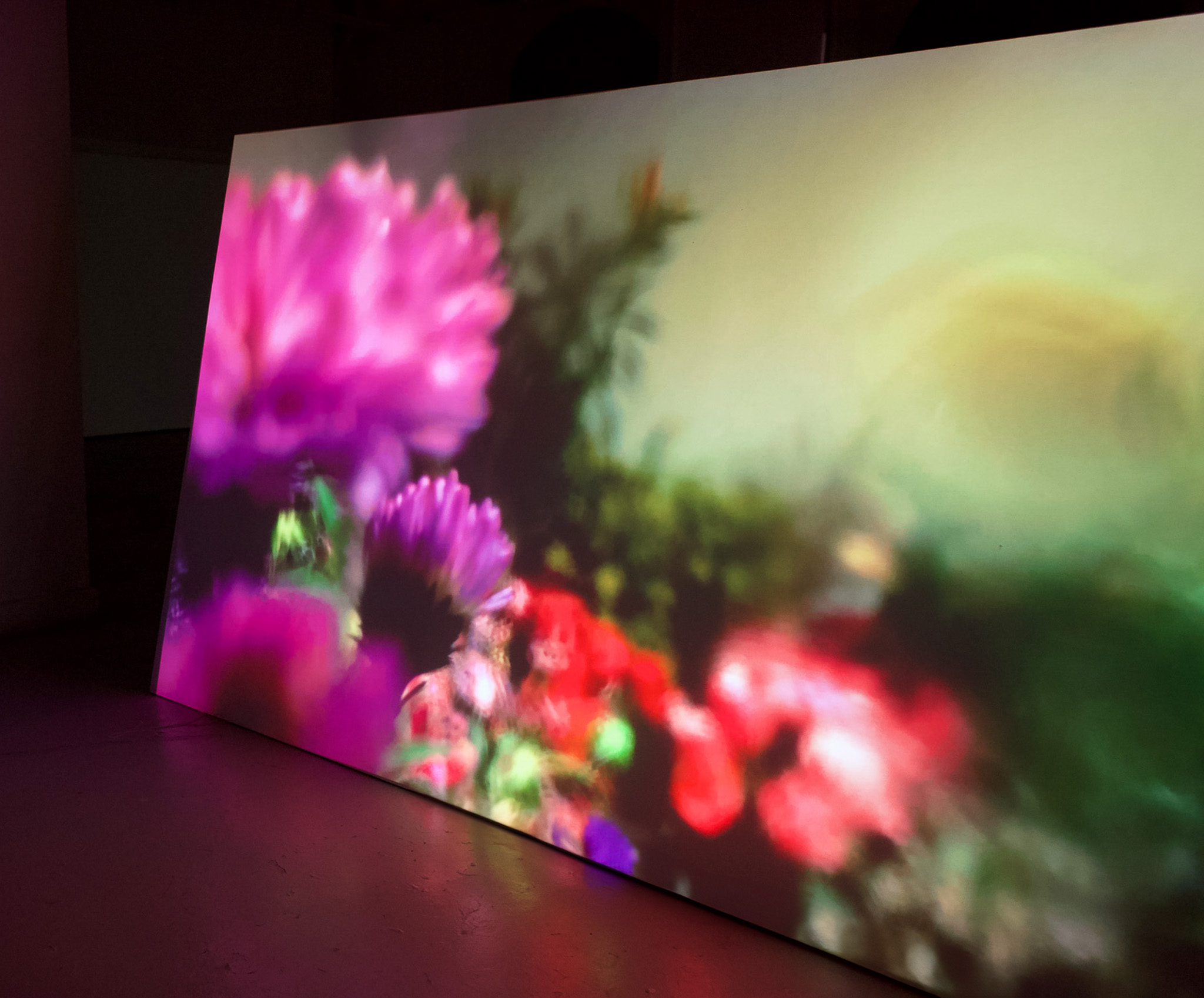 Where are the Songs of Spring?